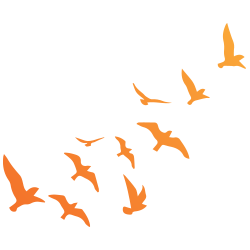 Birdwatching Icon