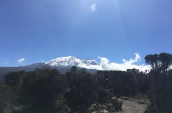 kilimanjaro view