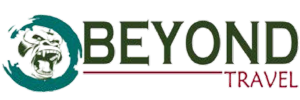 logo beyond travel